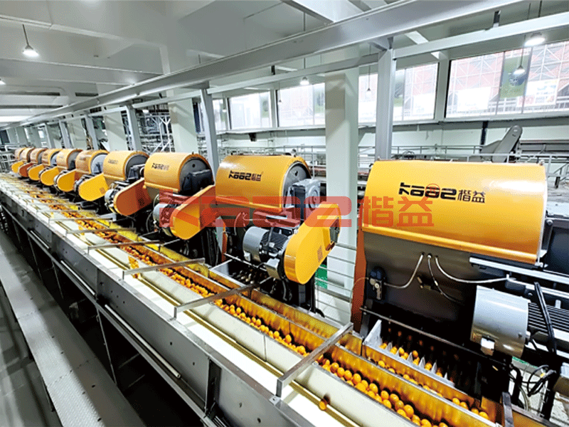 杯式榨汁機(jī)