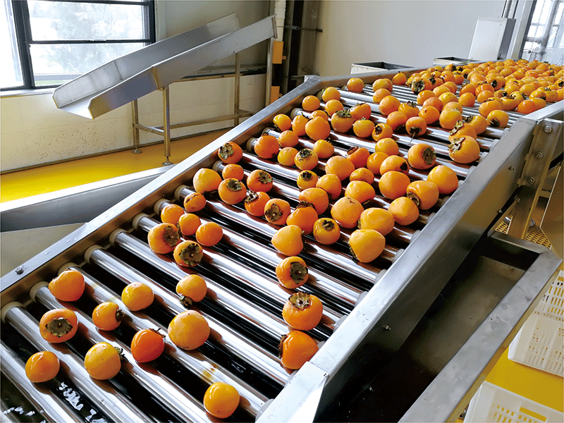 輥杠輸送機(jī)