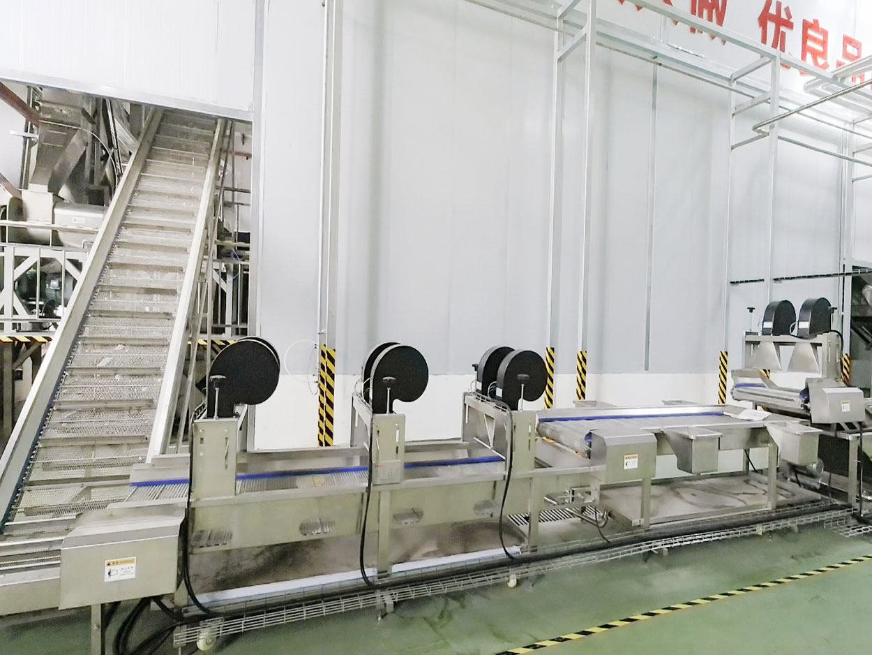 風(fēng)選去雜機