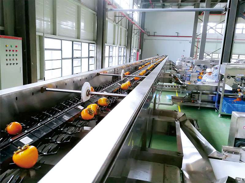 全自動(dòng)光電分選線