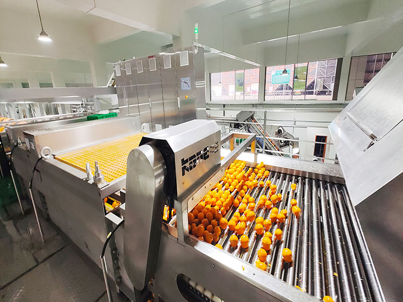 柑橘尺寸分級(jí)機(jī)